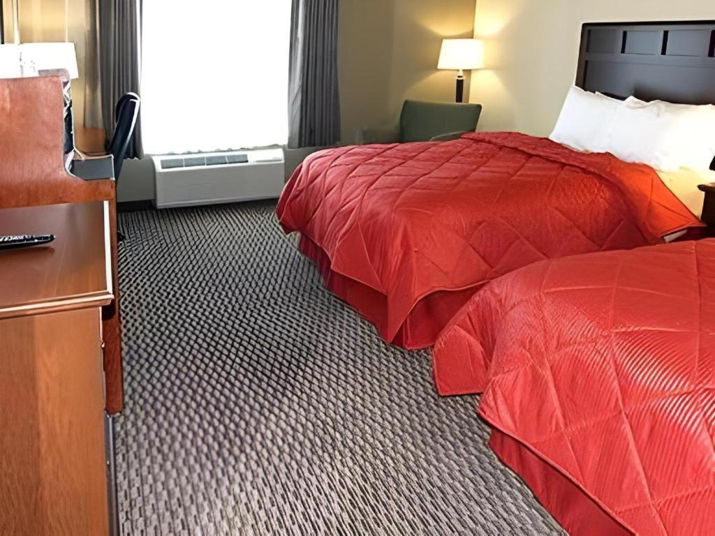 Comfort Inn & Suites Madisonville Εξωτερικό φωτογραφία