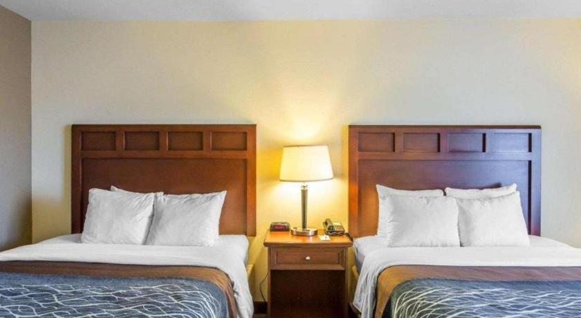 Comfort Inn & Suites Madisonville Εξωτερικό φωτογραφία